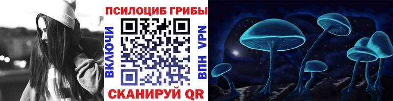 Купить закладки  Ессентуки  Галлюциногенные грибы мицелий 